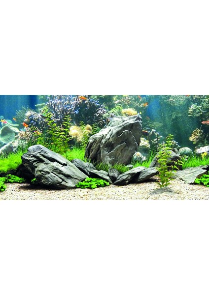 KP1256334 Akvaryum Arka Fon Yapıştırma 125 x 63 cm