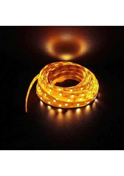 10 Çip Şerit LED Iç Mekan (Amber) CT-4485 5 mt