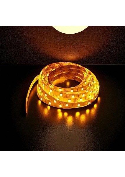 10 Çip Şerit LED Iç Mekan (Amber) CT-4485 5 mt modelleri
