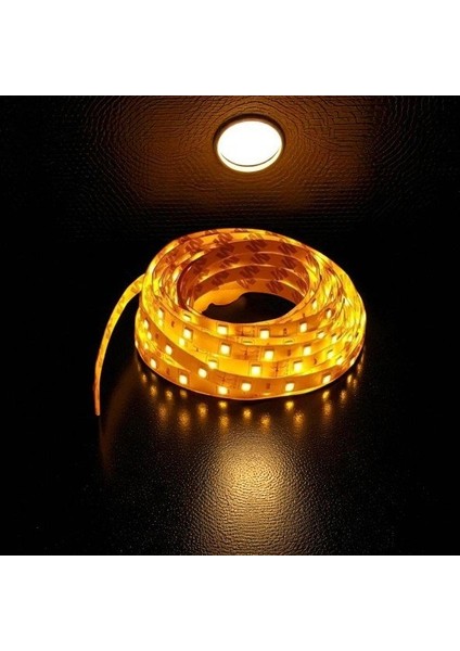 10 Çip Şerit LED Iç Mekan (Amber) CT-4485 5 mt fırsatları