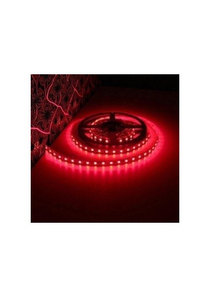 10 Çip Şerit LED Iç Mekan (Kırmızı) CT-4482 5mt fiyatları