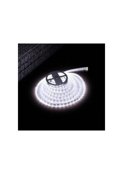 10 Çip Şerit LED Iç Mekan (Beyaz) CT-4480 5mt