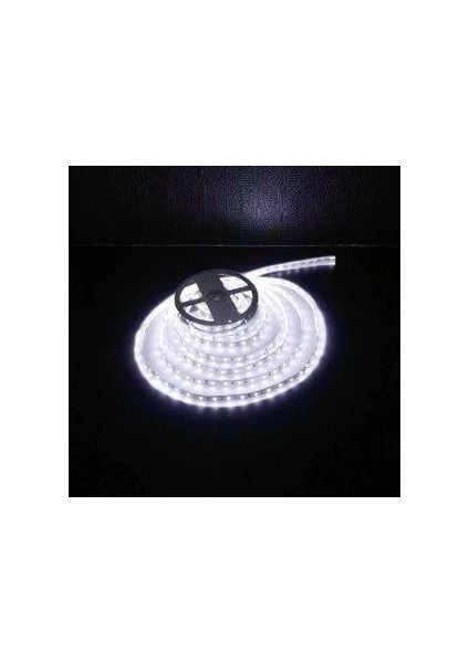 10 Çip Şerit LED Iç Mekan (Beyaz) CT-4480 5mt fiyatları