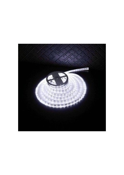 10 Çip Şerit LED Iç Mekan (Beyaz) CT-4480 5mt modelleri