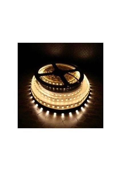 10 Çip Şerit LED Iç Mekan (Günışığı) CT-4481 5mt