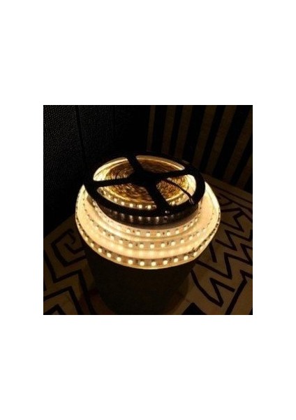 10 Çip Şerit LED Iç Mekan (Günışığı) CT-4481 5mt fiyatları