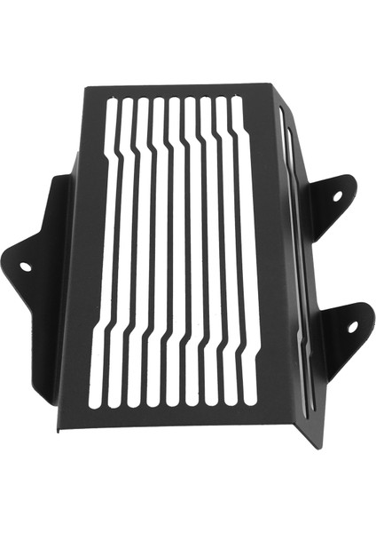 Bmw R12 R 12 Nınet 2024 2025 Için Motosiklet Radyatör Koruyucu Isı Emici Koruyucu Çizilmeye Dayanıklı Aksesuarlar (Yurt Dışından) fiyatları