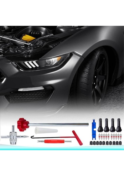 30 Adet Araba Hızlı Değişim Lastik Vana Takım Seti Vana Gövdesi TR413 Vana Değiştirme Kurulum Takım Seti A Için Lastik Vana Gövdesi (Yurt Dışından) indirimleri