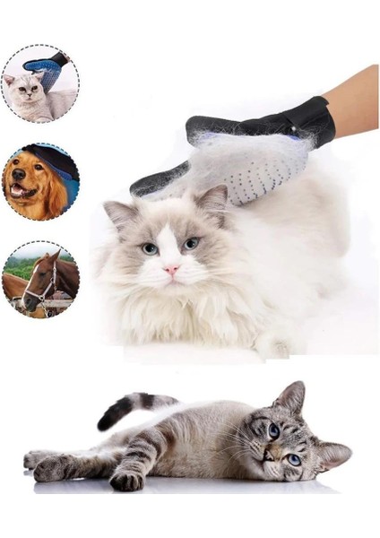 Kedi Köpek Tarama Tüy Toplama Yıkama Evcil Hayvan Temizleme Eldiveni modelleri