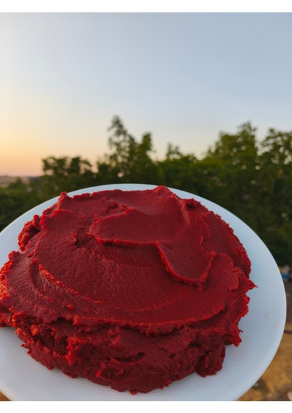 Antep Domates Salçası fiyatları