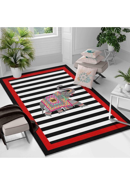 Kaymaz Taban Yıkanabilir Halı – Mutfak, Salon, Yatak Odası Için Modern Dijital Baskı Halı