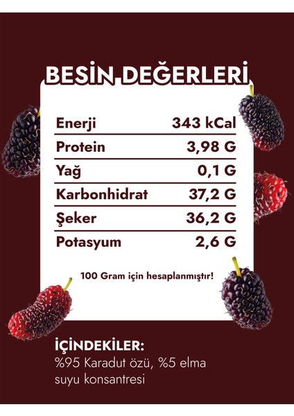 Doğal Katkısız Organik Taneli Karadut Özü 1350GR fiyatları