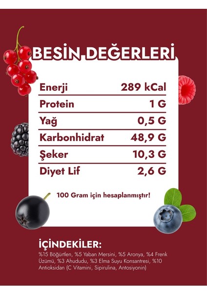 Tanecikli Orman Meyvesi Özü 1400gr fiyatları