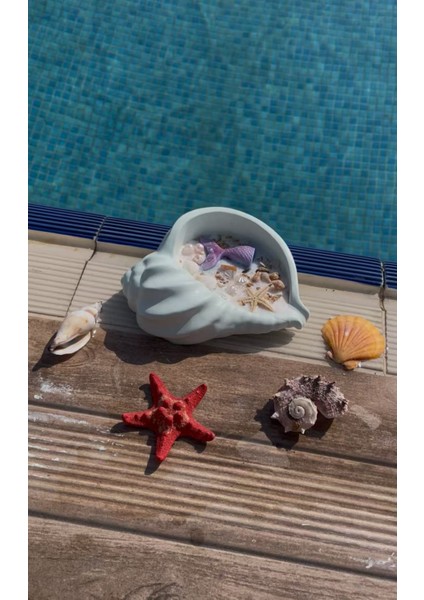 Elyapımı Deniz Kabuğu Dekoratif Kokulu Mum / Handmade Decorative Scented Seashell Candle fiyatları