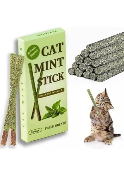 Tineke 6 Adet Doğal Meyve Aromalı Matatabi Çubuğu Catnip Stick Kedi Catnip Dalı Cat Mint Stick