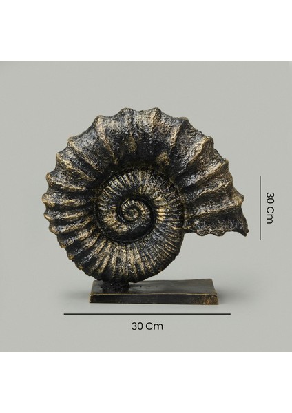 Deco Deniz Kabuğu Dekor - Gold / Siyah - 30 cm indirimleri