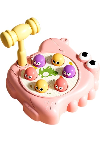 Timsah Gopher Erkek ve Kız Erken Öğretir (Yurt Dışından)
