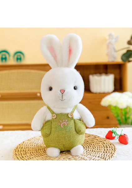 35CM Güneş Tavşanı Yatıştırıcı Bebek Bebek Uyur (Yurt Dışından) modelleri