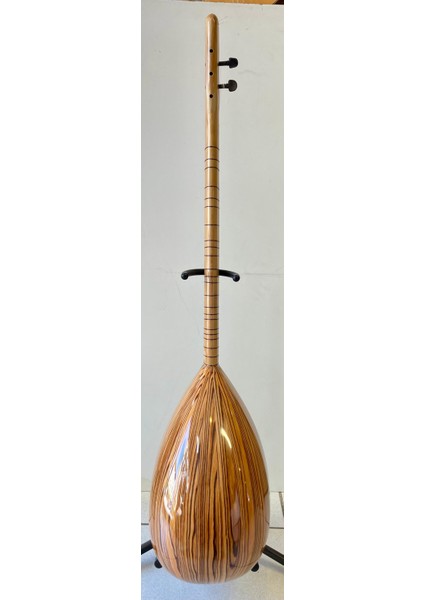 Model 2 Elektro Bağlama (Leslili) fırsatları