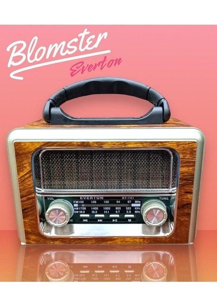Everton RT-741 Güneş Enerjili Bluetooth, Usb/sd/aux/fm Band Radyo Ahşap Nostalji Müzik Kutusu