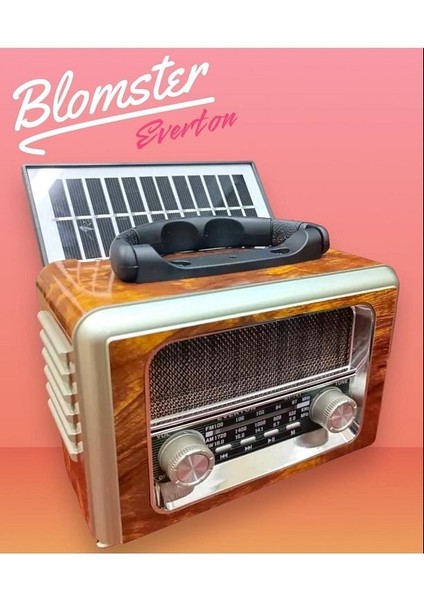 Everton RT-741 Güneş Enerjili Bluetooth, Usb/sd/aux/fm Band Radyo Ahşap Nostalji Müzik Kutusu fiyatları
