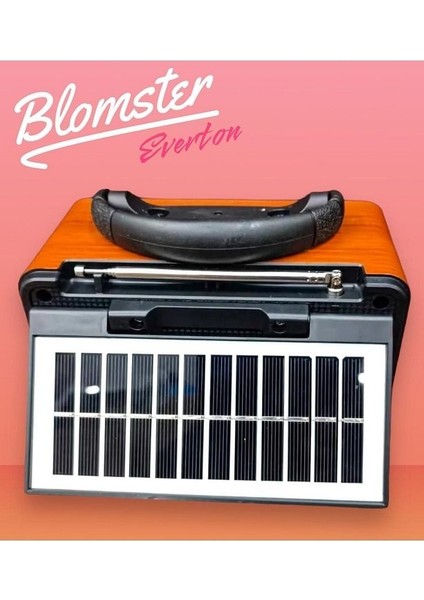 Everton RT-741 Güneş Enerjili Bluetooth, Usb/sd/aux/fm Band Radyo Ahşap Nostalji Müzik Kutusu modelleri