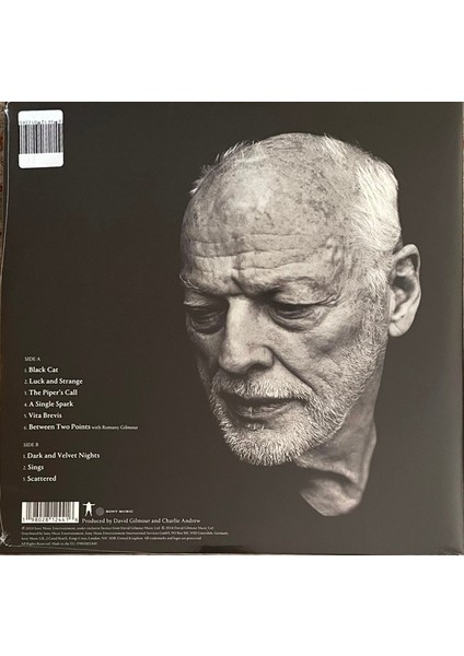 David Gimour - Luck And Strange (Plak) modelleri