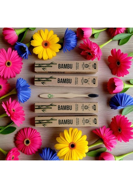 Diş Fırçası modelleri