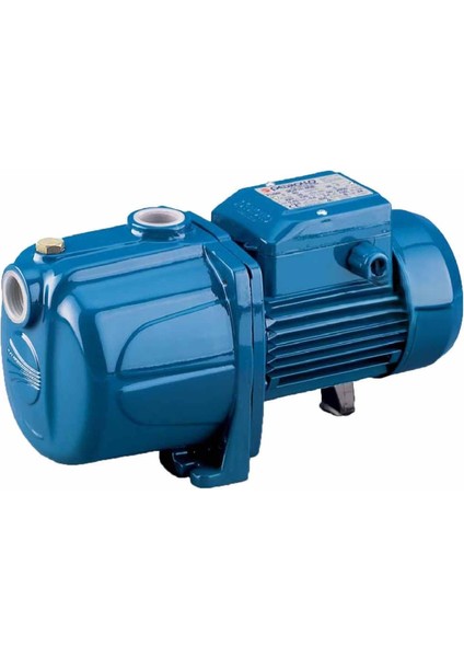 4CPM100E Sesiz 1hp Pedrollo Pompa