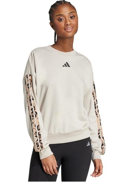 Kadın Sweatshirt W Aop Swt JM1836 fiyatları