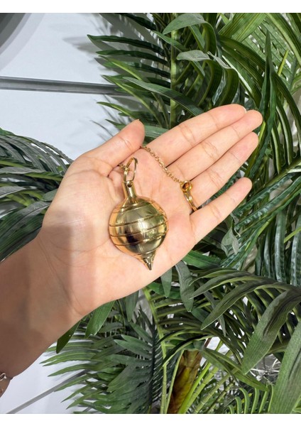 Gold Sarkaç(Şakül) fiyatları