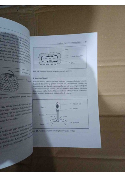 Genel Viroloji Prof Kadir Yesilbağ Cok Temiz Kondisyonda Tip Kitabidir modelleri