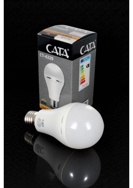 9W Şarjlı LED Ampul (Beyaz) CT-4229B