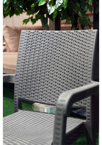 Troya Rattan Desenli Kollu Koltuk Bahçe Balkon Koltuğu 6'lı Set Antrasit Gri fiyatları