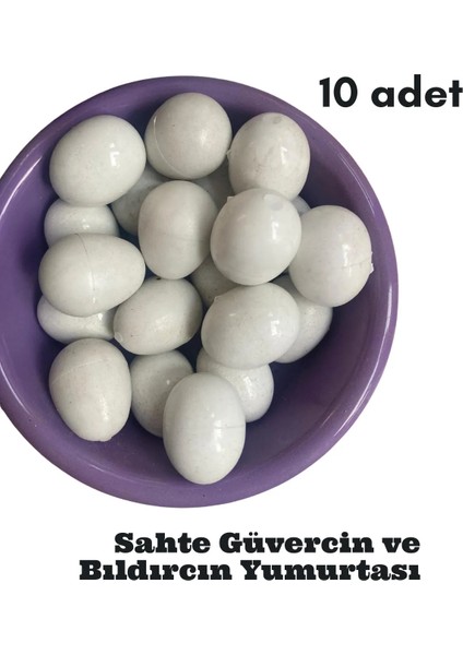 10 Adet Plastik Güvercin ve Bıldırcın Yumurtası