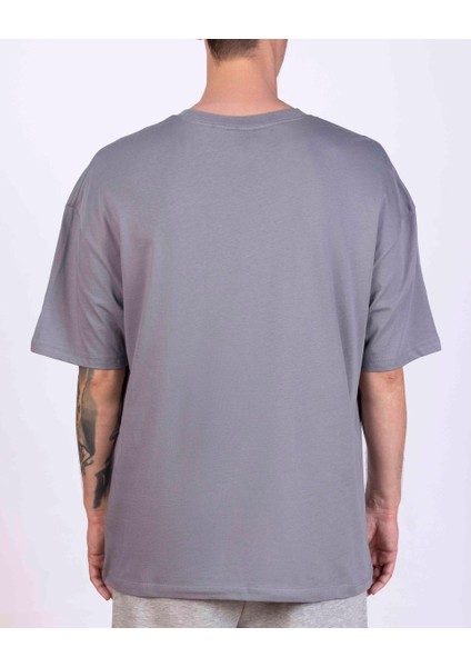 Authentic Taster Erkek Gri Regular Fit Tişört indirimleri