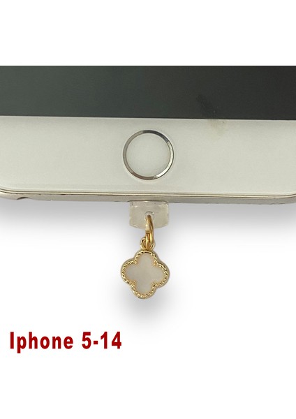 Iphone 5-14 Çelik Takı Figürlü Telefon Şarj Portu Toz Tıpası Toz Tıkacı Charm IPGL6019