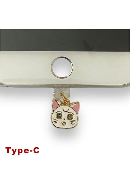 Type-C Çelik Takı Figürlü Telefon Şarj Portu Toz Tıpası Toz Tıkacı Charm TCGL5006