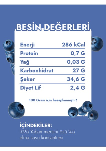 Doğal Katkısız ve Organik Yaban Mersini Özü 700GR fiyatları