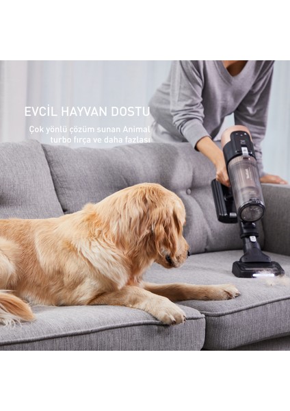 TY9B74WO X-Force Flex 14.80 Animal Care 240 Air Watt Kablosuz Şarjlı Dikey Süpürge modelleri