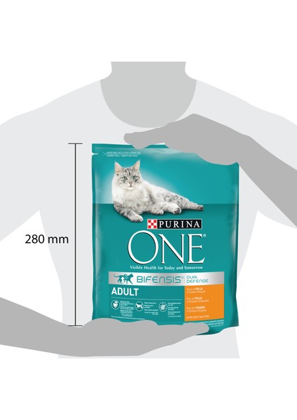 Tavuklu Yetişkin Kedi Maması 1.6 kg (800 gr x 2 Ad) fırsatları