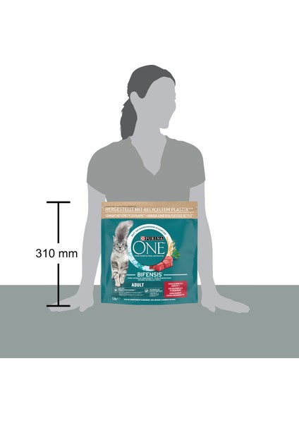 Bifensis Yetişkin Kediler Için Sığır Etli Kuru Mama 1.5 kg indirimleri