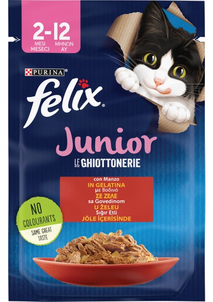 Yavru Sığıretli Yaş Kedi Maması 26 Adet 85 gr fiyatları