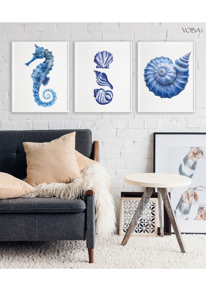 3 Parça Deniz Kabuğu Mdf Tablo Seti