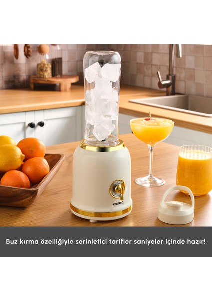 Retro Personal Kişisel Smoothie Blender