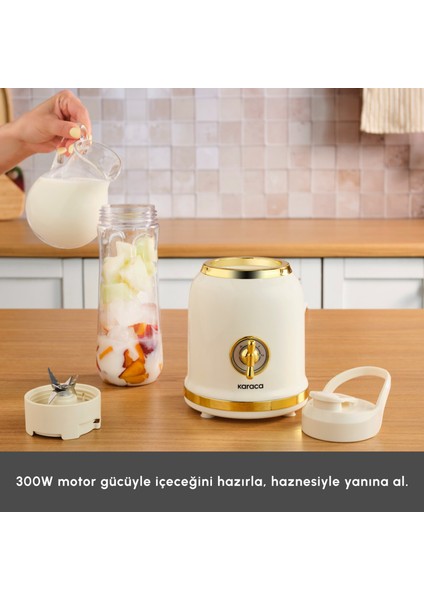 Retro Personal Kişisel Smoothie Blender