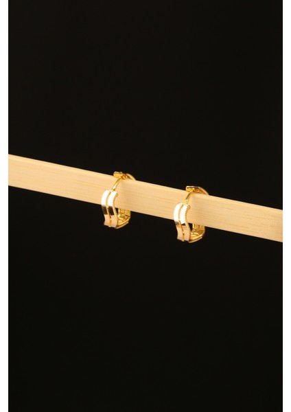 Zikzak Ajda 2 Sıra Altın Küpe CGKKP0214