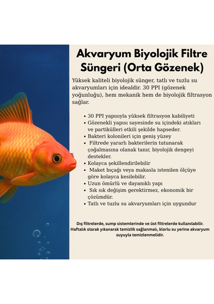 Mavi Akvaryum Biyolojik Filtre Süngeri Orta Gözenekli – Tatlı & Tuzlu Su Uyumlu – 20X18X5 cm fırsatları