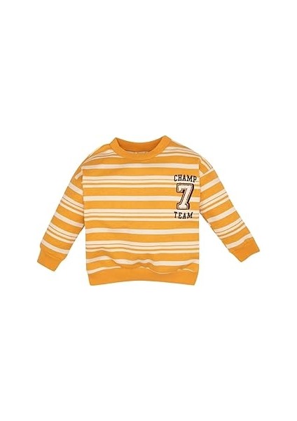Erkek Bebek Turuncu Regular Fit Bisiklet Yaka Çizgili Içi Yumuşak Tüylü Ince Sweatshirt