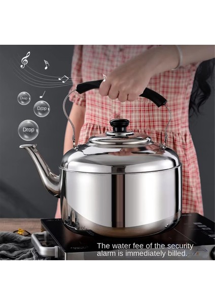 3l 304 Su Isıtıcısı Büyük Paslanmaz Çelik Su Isıtıcısı Ev Su Isıtıcısı 304 Büyük Hacimli Ses Su Isıtıcısı Ev Su Isıtıcısı Içme Su Isıtıcısı (Yurt Dışından) indirimleri